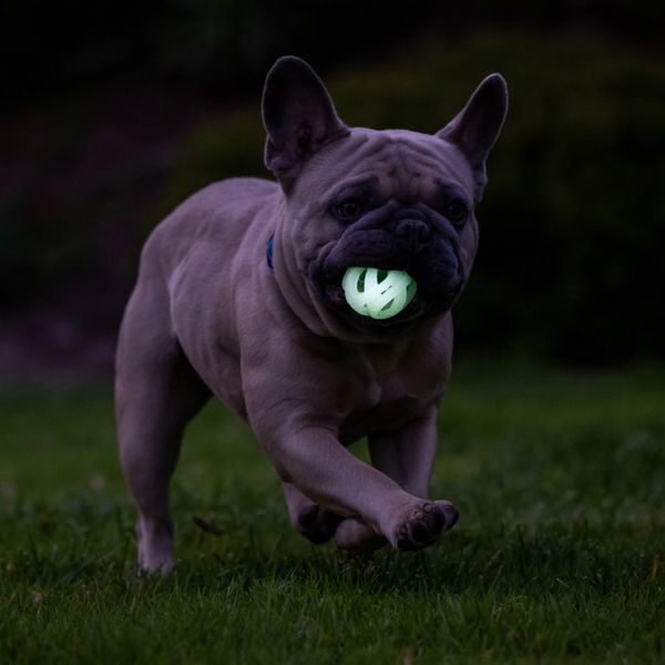Chuckit! Air Glow Fetch Ball Small 2Pk