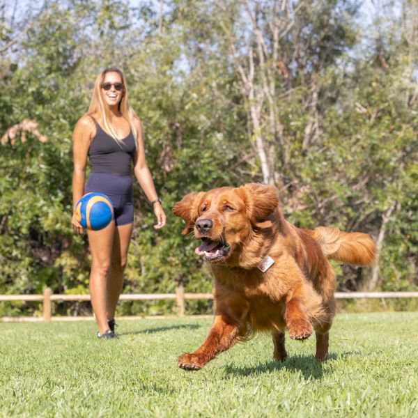 Chuckit! Ultra Squeaker Ball Small 2Pk