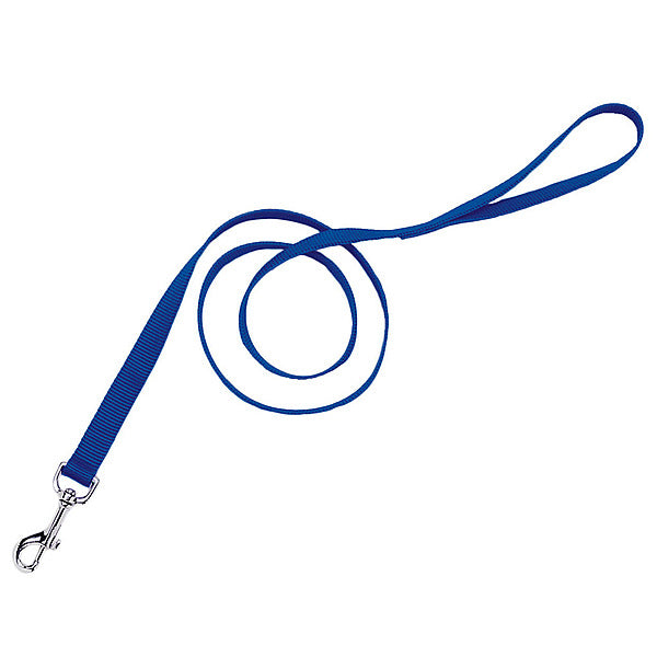 Coastal Nylon Lead Blue 1"x6'