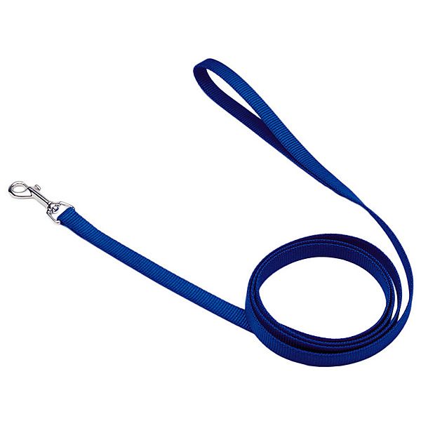Coastal Nylon Lead Blue 5/8"X6"
