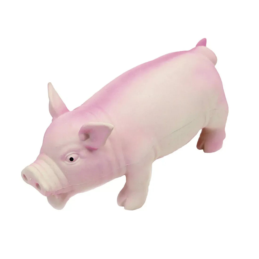 Coastal Rascals Latex Grunting Pig 7.5"