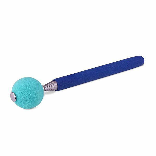 Company Of Animals Coachi Tricks Target Stick