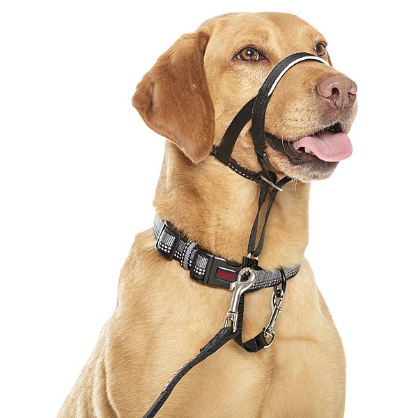 Company Of Animals Halti Nylon Head Collar Black Size 3