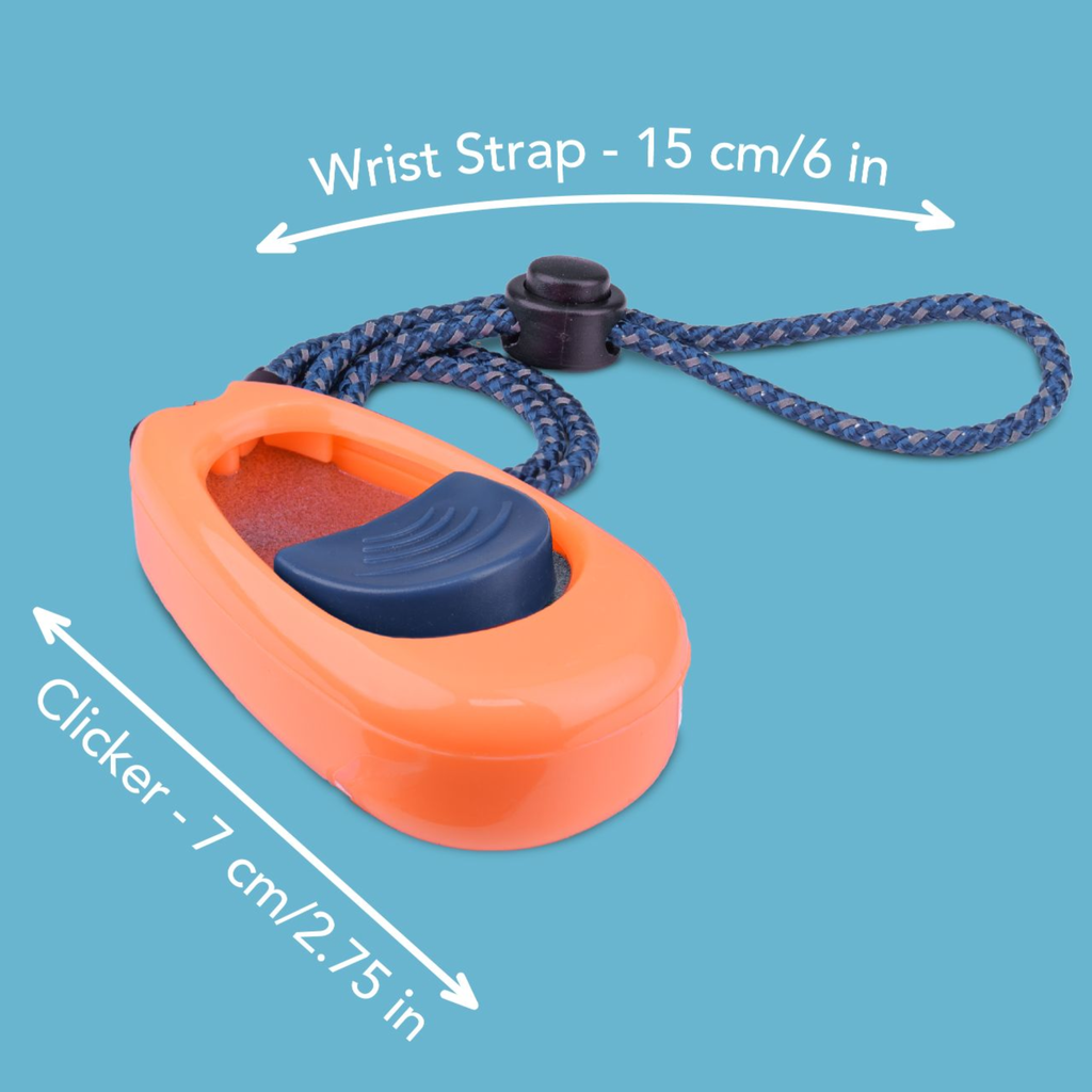 Company Of Animals Coachi Tricks Multi-Clicker Navy & Coral