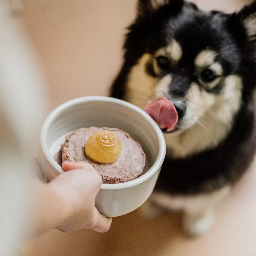 Faim Museau Frozen Cozy Bone Broth 6/30G