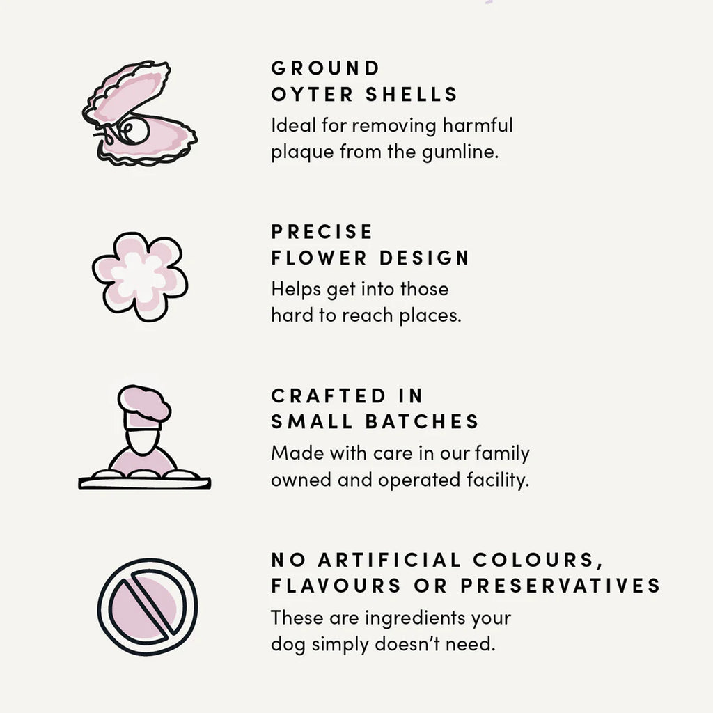 Crumps Original Plaque Busters Medium/Large Breed 7" 10Pk