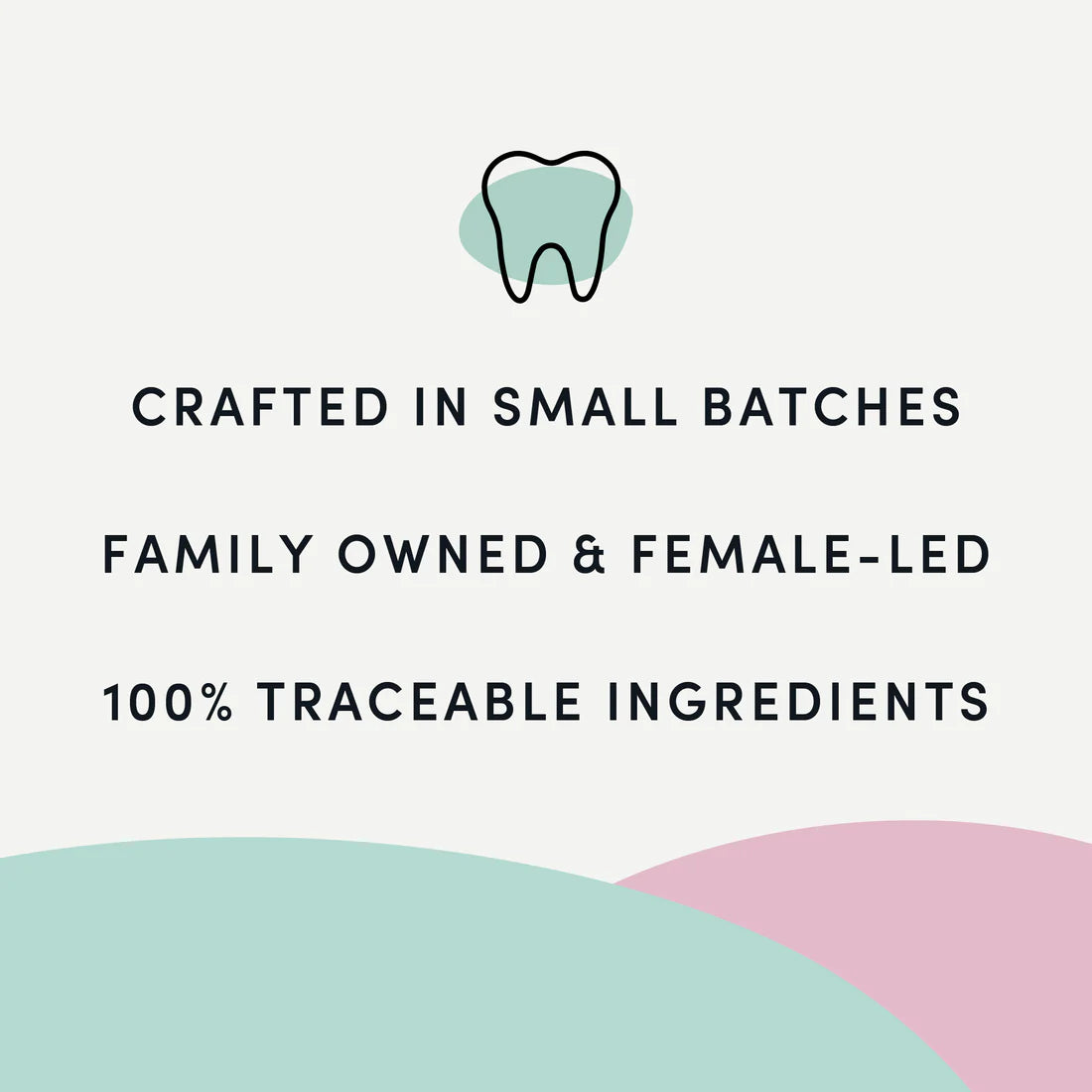 Crumps Original Plaque Busters Medium/Large Breed 7" 10Pk