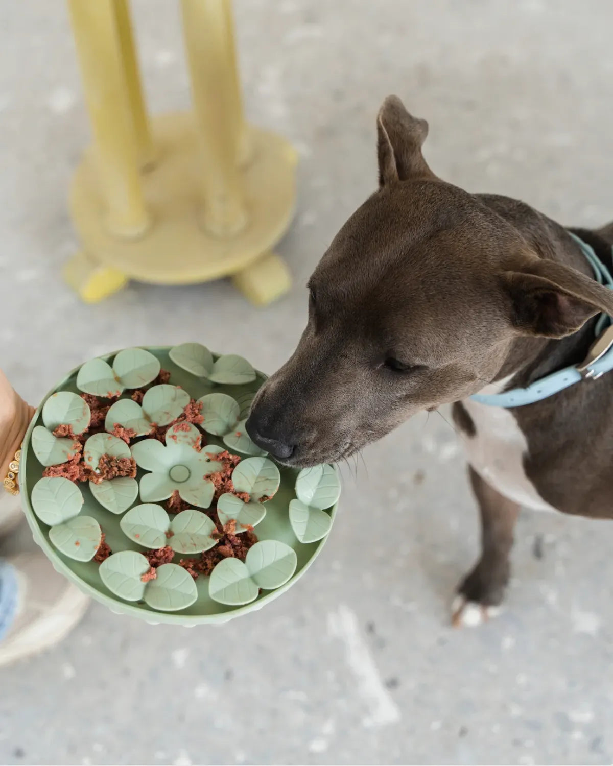Dexypaws Dog Snuffle Mat Silicone Sage Green
