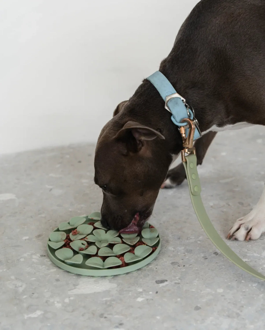 Dexypaws Dog Snuffle Mat Silicone Sage Green