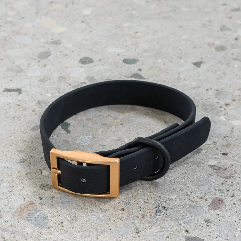 Dexypaws Waterproof Collar Black Small