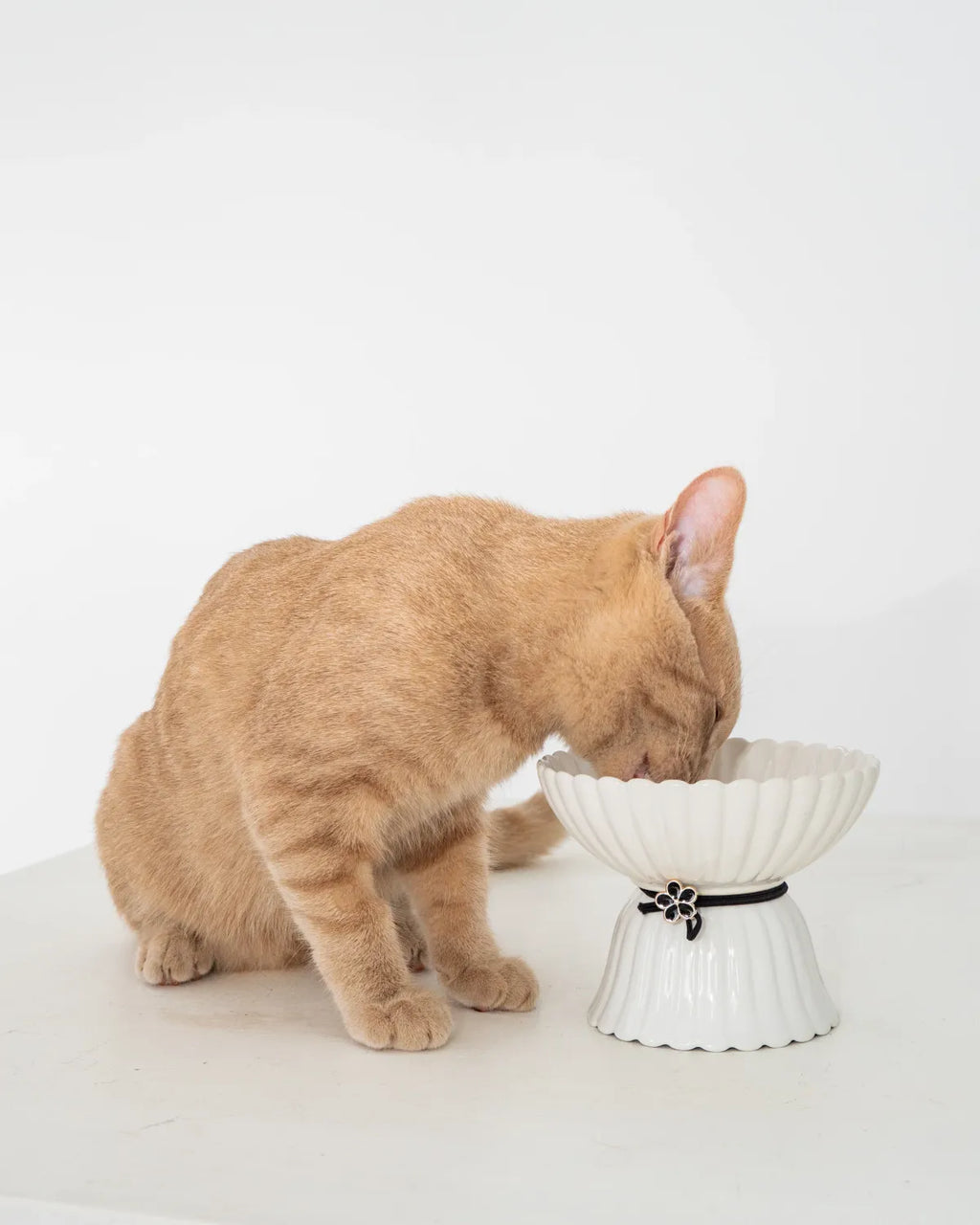 Dexypaws Ceramic Elevated Bowl Flower 8.45Oz