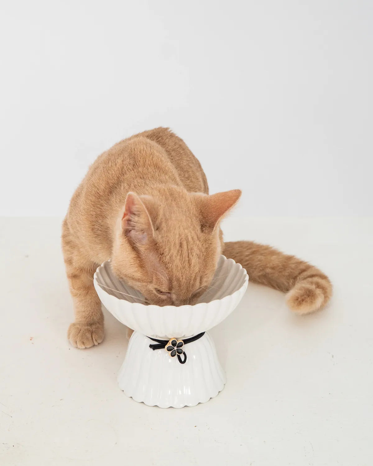 Dexypaws Ceramic Elevated Bowl Flower 8.45Oz