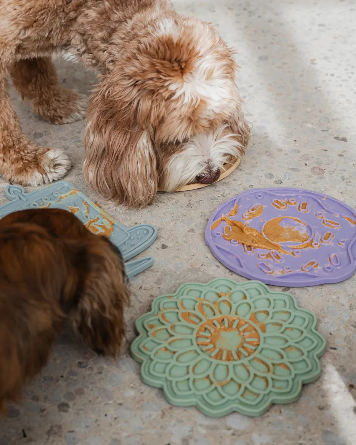 Dexypaws Lick Mat Sage Green Blooming Blossom