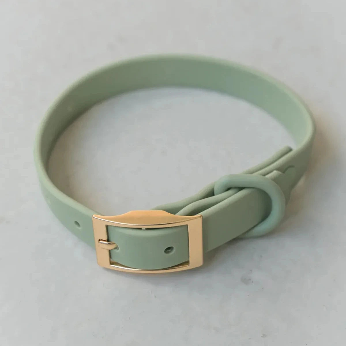 Dexypaws Waterproof Collar Sage Medium