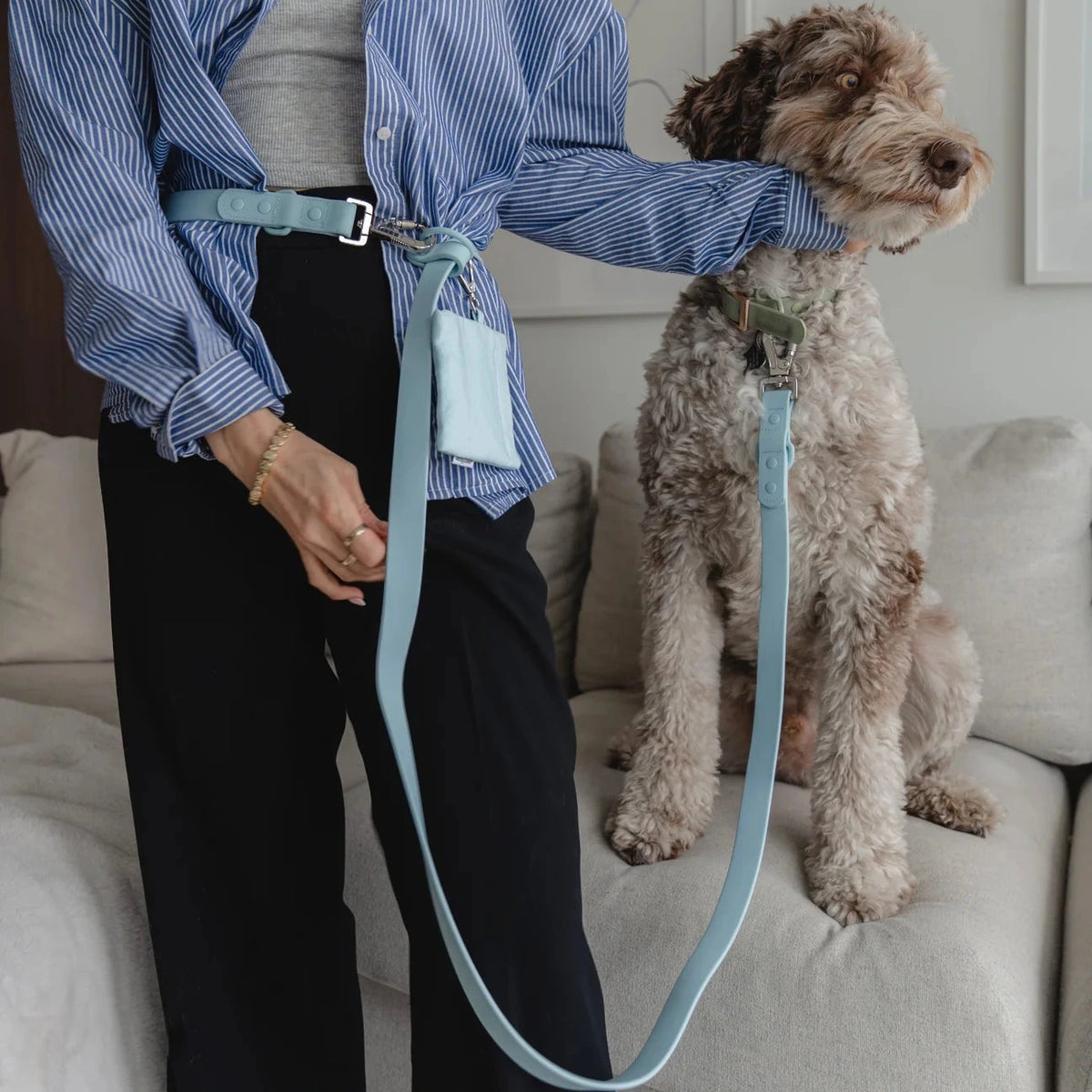 Dexypaws Waterproof Hands-Free Dog Leash Sky Blue 1"x6'