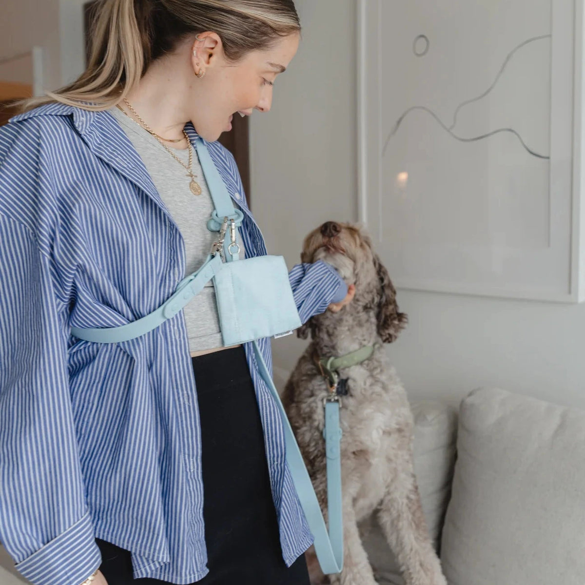 Dexypaws Waterproof Hands-Free Dog Leash Sky Blue 1"x6'