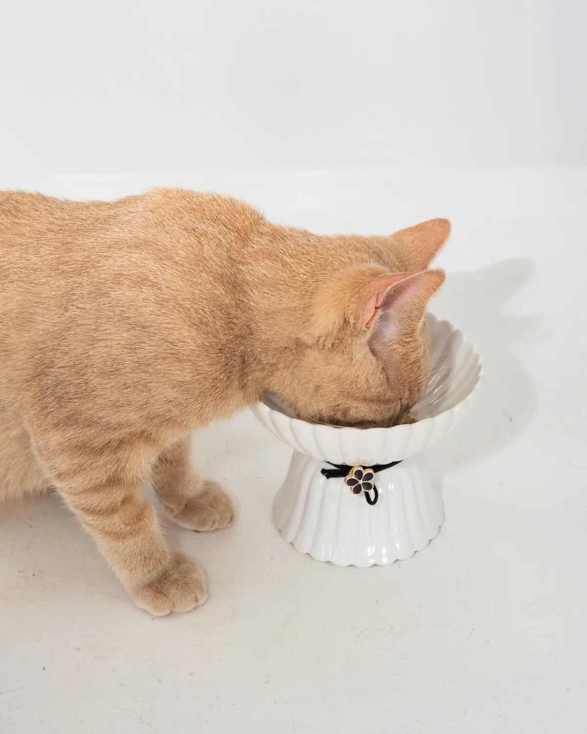 Dexypaws Ceramic Elevated Bowl Flower 8.45Oz
