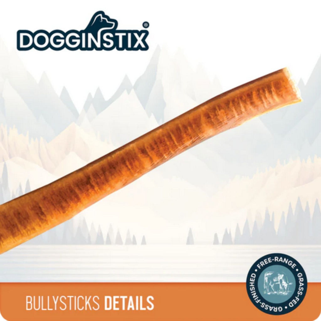 Dogginstix Beef Bully Stick Jumbo 12"