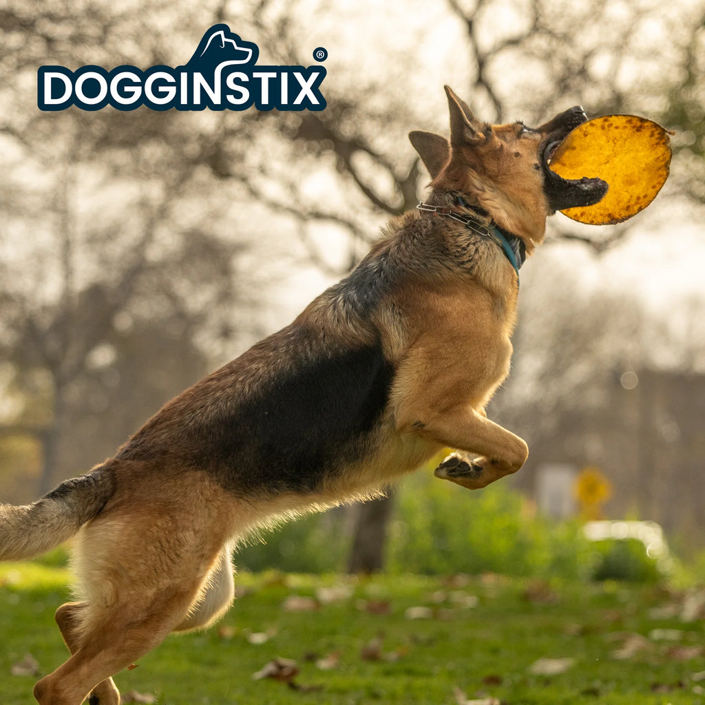 Dogginstix Beef Collagen Ufo