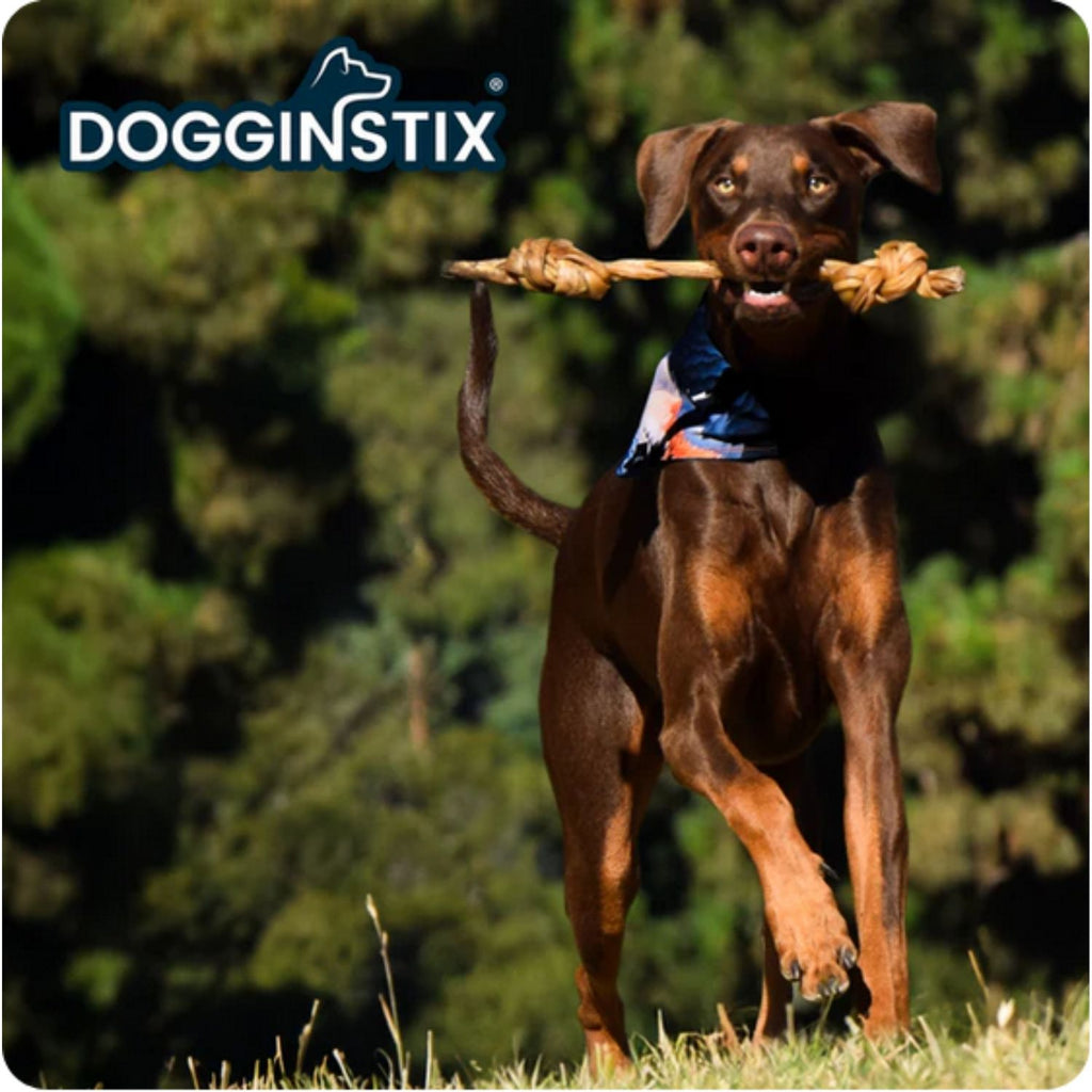 Dogginstix Braided Lamb Collagen Double Knotted Stick 16"