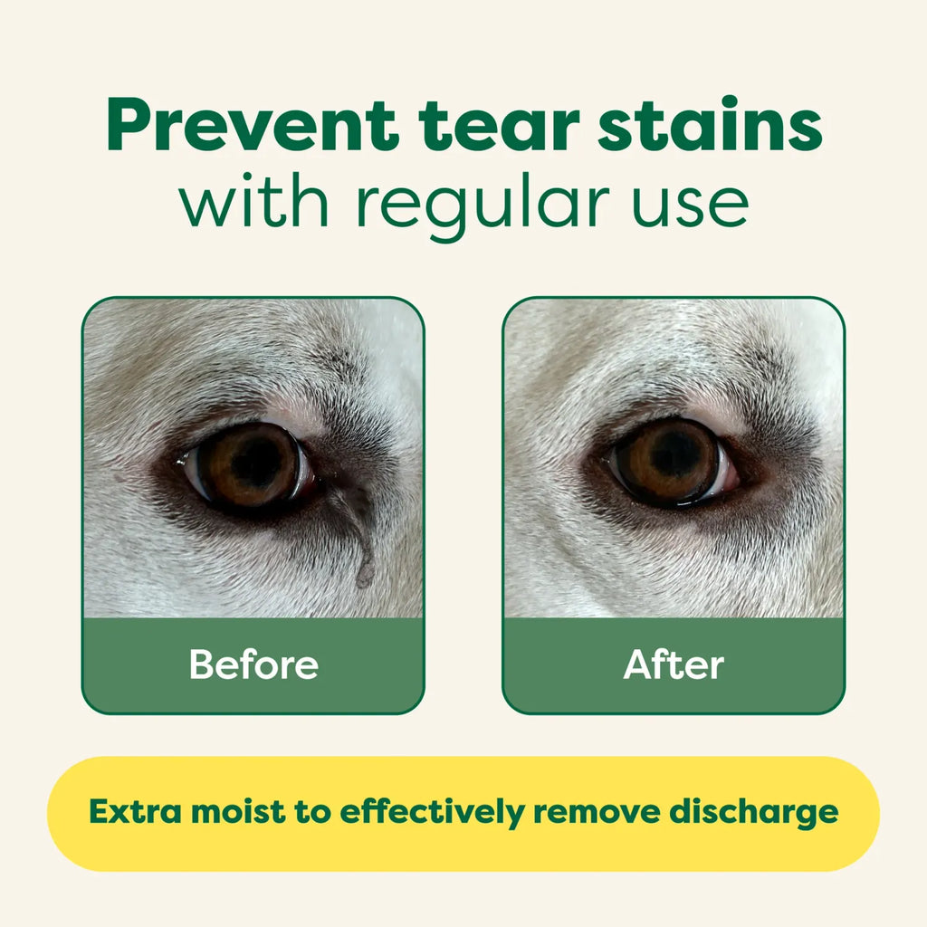 Earth Rated Eye Wipes Fragrence Free 60Pk