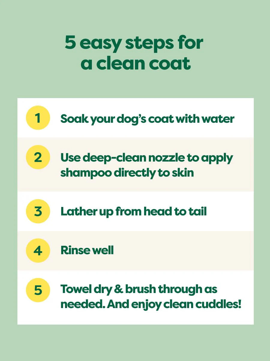 Earth Rated Curly Coat Detangling 3 In 1 Dog Shampoo White Tea & Basil 16 fl oz