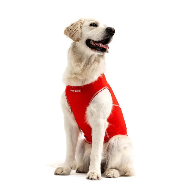 EzyDog Dog Rashie Shirt 50+ UV Protection Large