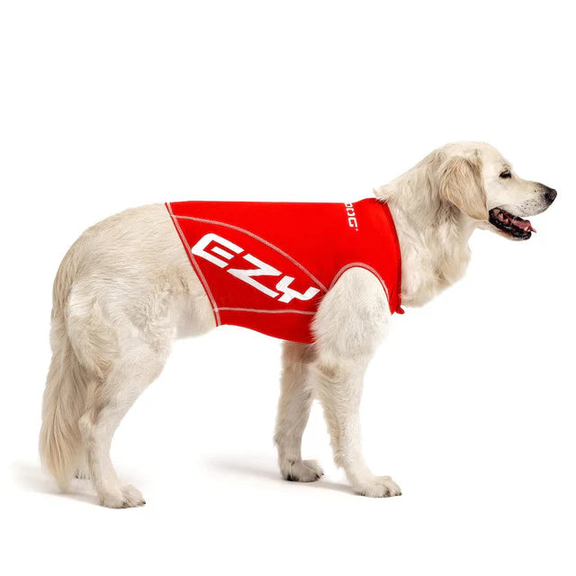EzyDog Dog Rashie Shirt 50+ UV Protection Large