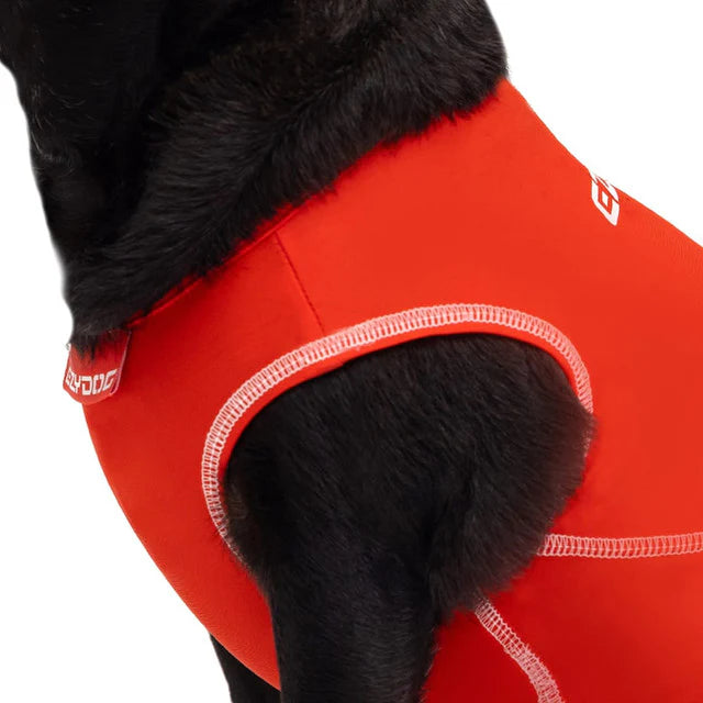 EzyDog Dog Rashie Shirt 50+ UV Protection Medium