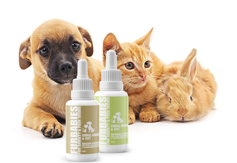 Furbabies Canine/Feline Anxiety & Pain Relief Oral Drops 25Lb & Under Bacon Flavour 100Mg