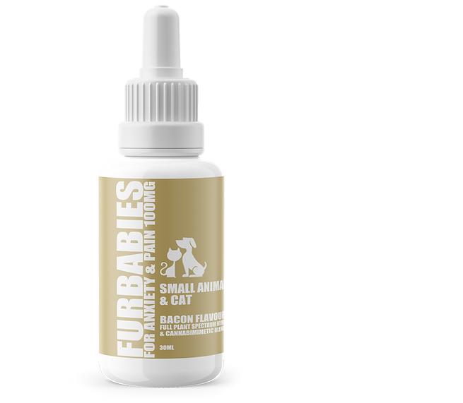 Furbabies Canine/Feline Anxiety & Pain Relief Oral Drops 25Lb & Under Bacon Flavour 100Mg