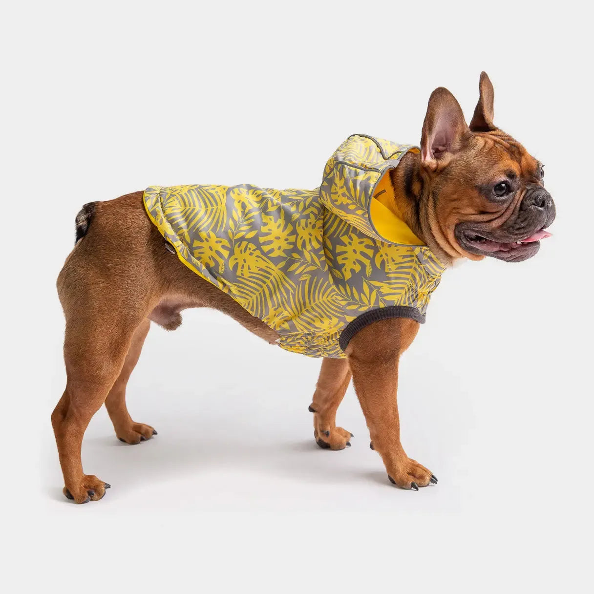 Gf Pet Reversible Raincoat Yellow X-Large - 21"