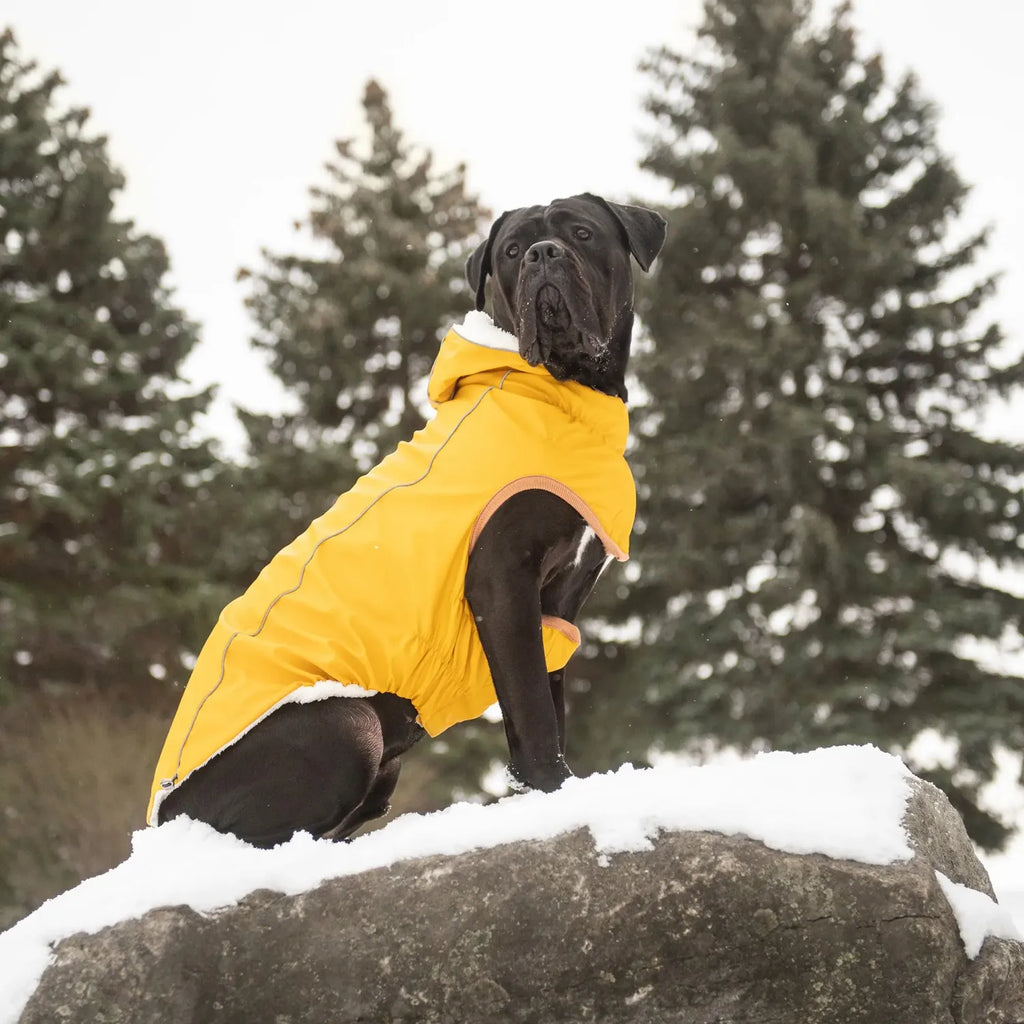 GF Pet Insulated Raincoat Yellow X-Large - 21"