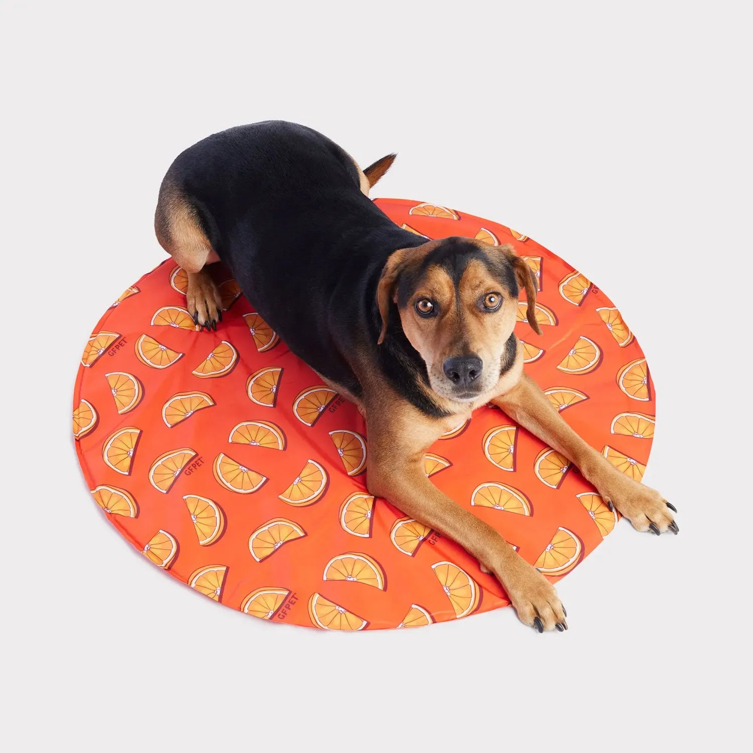 GF Pet Round Ice Mat Orange 32"
