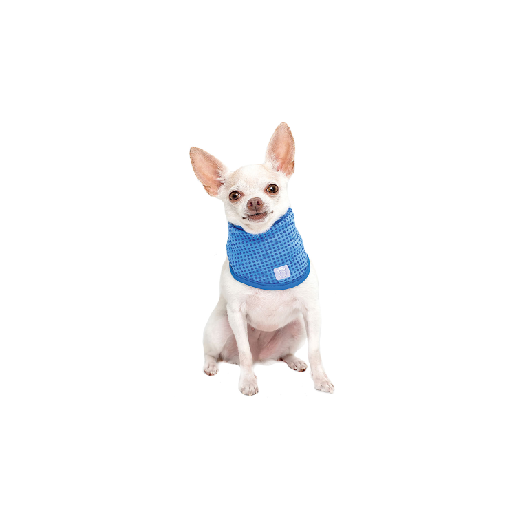 GF Pet Ice Band X-Small