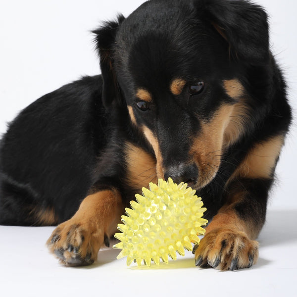 Gnawsome Spiky Squeaker Egg 4"