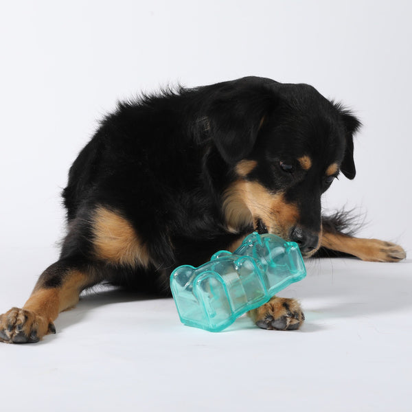 Gnawsome Squeaker Gummy Bear 6"
