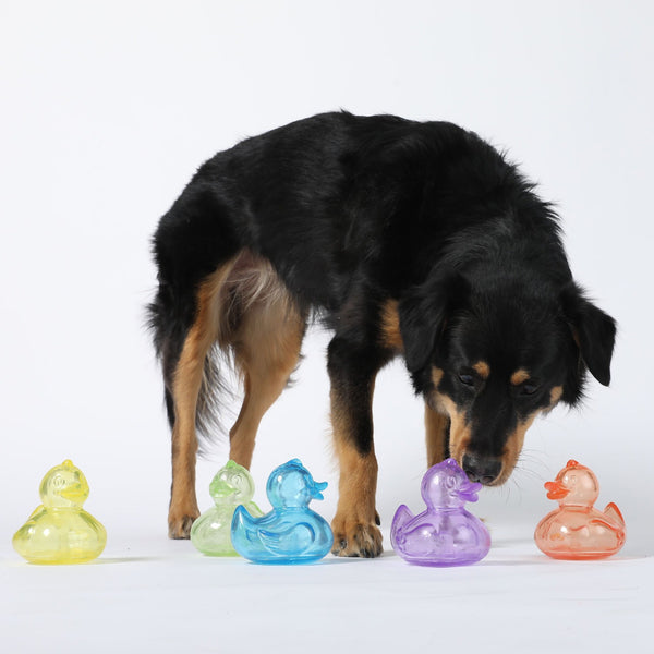 Gnawsome Squeaker Rubber Duck 4"