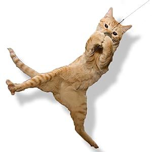 Go Cat Cat Catcher Mouse Wand