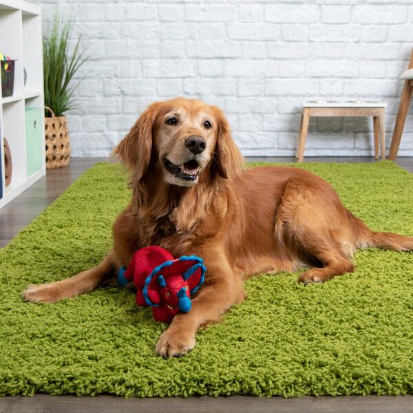 Go Dog Dino Frills Red Small
