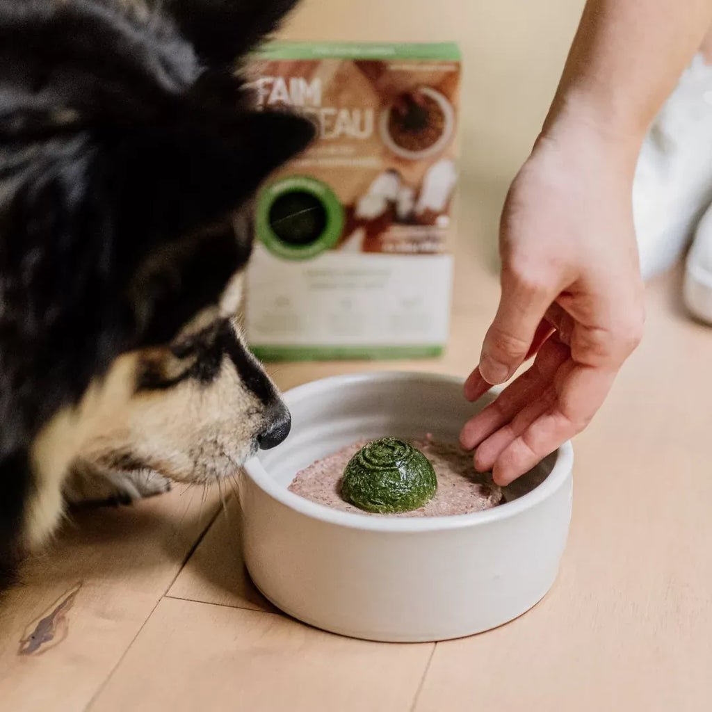 Faim Museau Frozen Green Smoothie 6/30G