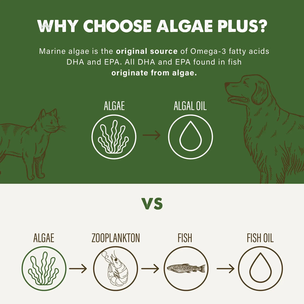 Grizzly Algal Plus Oil 16Oz