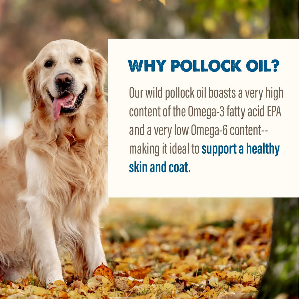 Grizzly Pollock Oil 8Oz
