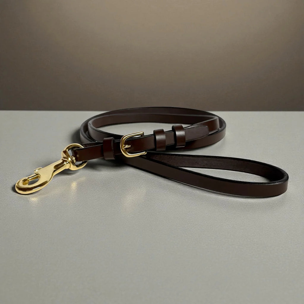Iconic Vintage Leather Leash Rein Style Brown 1/2"x4'