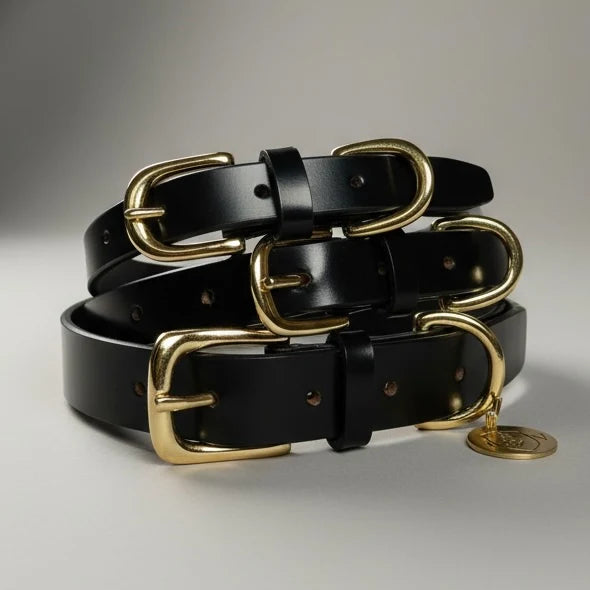 Iconic Vintage Leather Collar Black 1" Wide Large 20"-24"