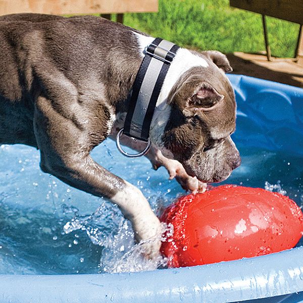 Jolly Pets Egg Red Large 12"