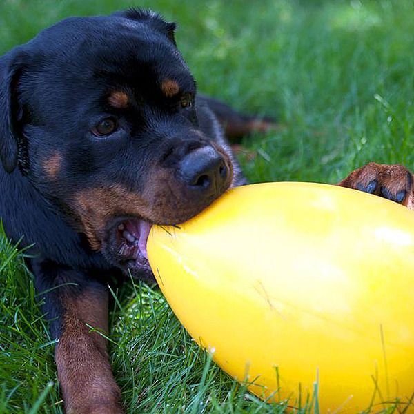 Jolly Pets Egg Yellow Large 12"