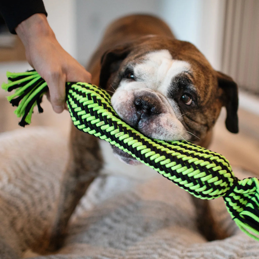 Jolly Pets Knot-N-Chew 3 Knot Rope Small/Medium