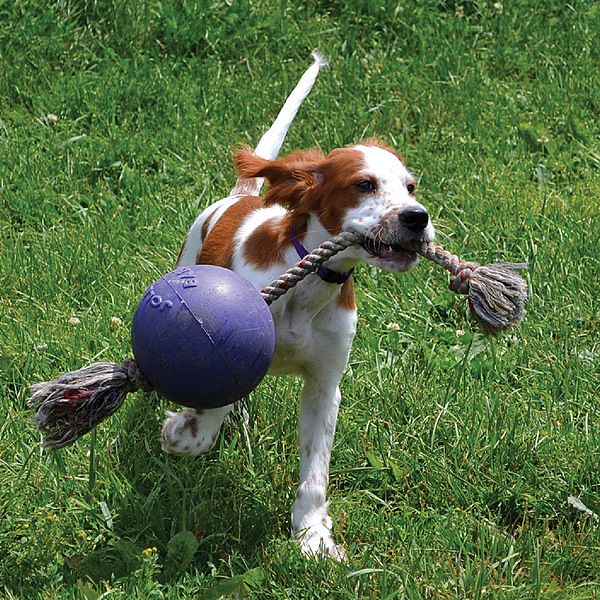 Jolly Pets Romp-N-Roll Ball With Rope Blue 4.5"