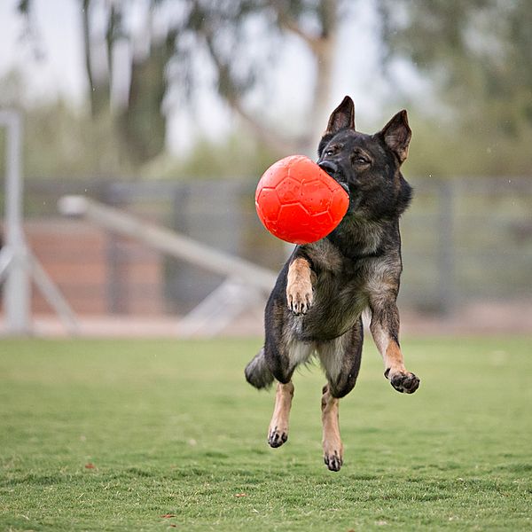Jolly Pets Soccer Ball Orange/Red 8"